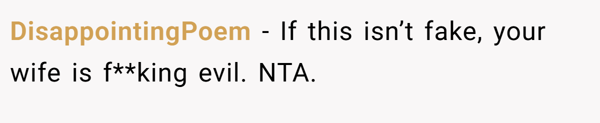 DisappointingPoem − If this isn’t fake, your wife is f**king evil. NTA.