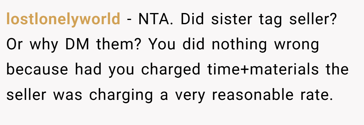 lostlonelyworld − NTA. Did sister tag seller? Or why DM them? You did nothing wrong because had you charged time+materials the seller was charging a very reasonable rate.