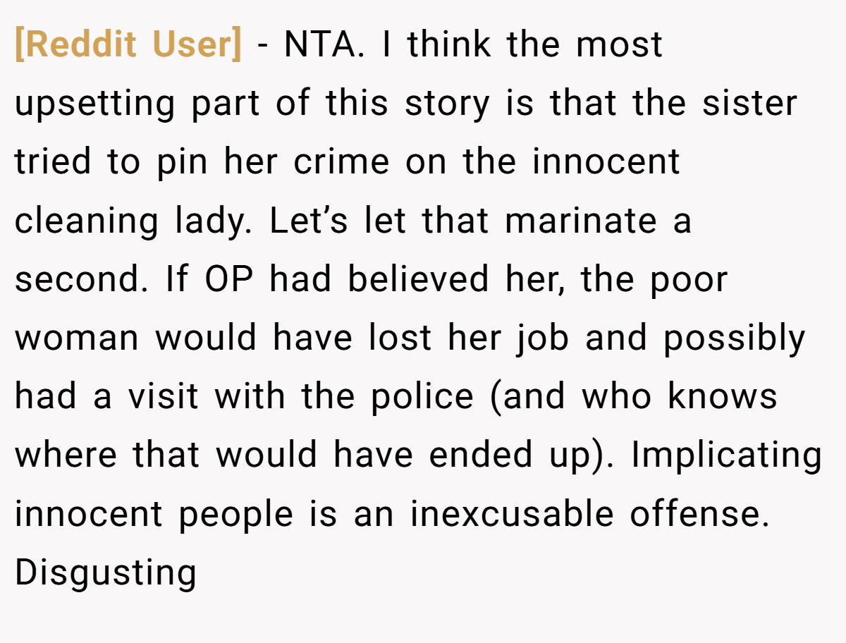 [Reddit User] − NTA. I think the most upsetting part of this story is that the sister tried to pin her crime on the innocent cleaning lady. Let’s let that marinate a second. If OP had believed her, the poor woman would have lost her job and possibly had a visit with the police (and who knows where that would have ended up). Implicating innocent people is an inexcusable offense. Disgusting