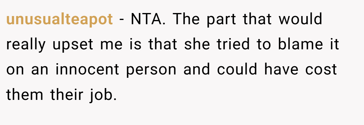 unusualteapot − NTA. The part that would really upset me is that she tried to blame it on an innocent person and could have cost them their job.