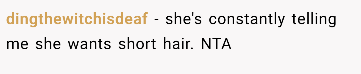 dingthewitchisdeaf − she's constantly telling me she wants short hair. NTA