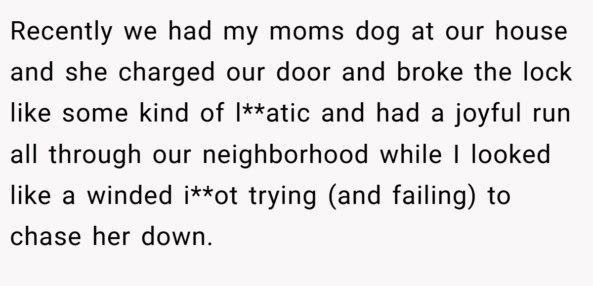 Recently we had my moms dog at our house and she charged our door and broke the lock like some kind of l**atic and had a joyful run all through our neighborhood while I looked like a winded i**ot trying (and failing) to chase her down.