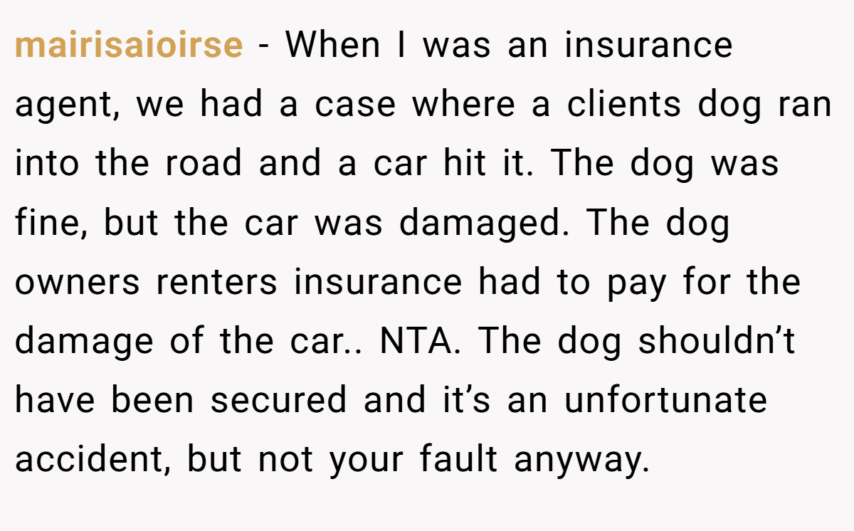 mairisaioirse - When I was an insurance agent, we had a case where a clients dog ran into the road and a car hit it. The dog was fine, but the car was damaged. The dog owners renters insurance had to pay for the damage of the car.. NTA. The dog shouldn’t have been secured and it’s an unfortunate accident, but not your fault anyway.