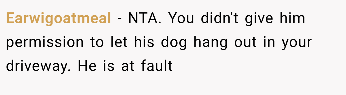 Earwigoatmeal - NTA. You didn't give him permission to let his dog hang out in your driveway. He is at fault