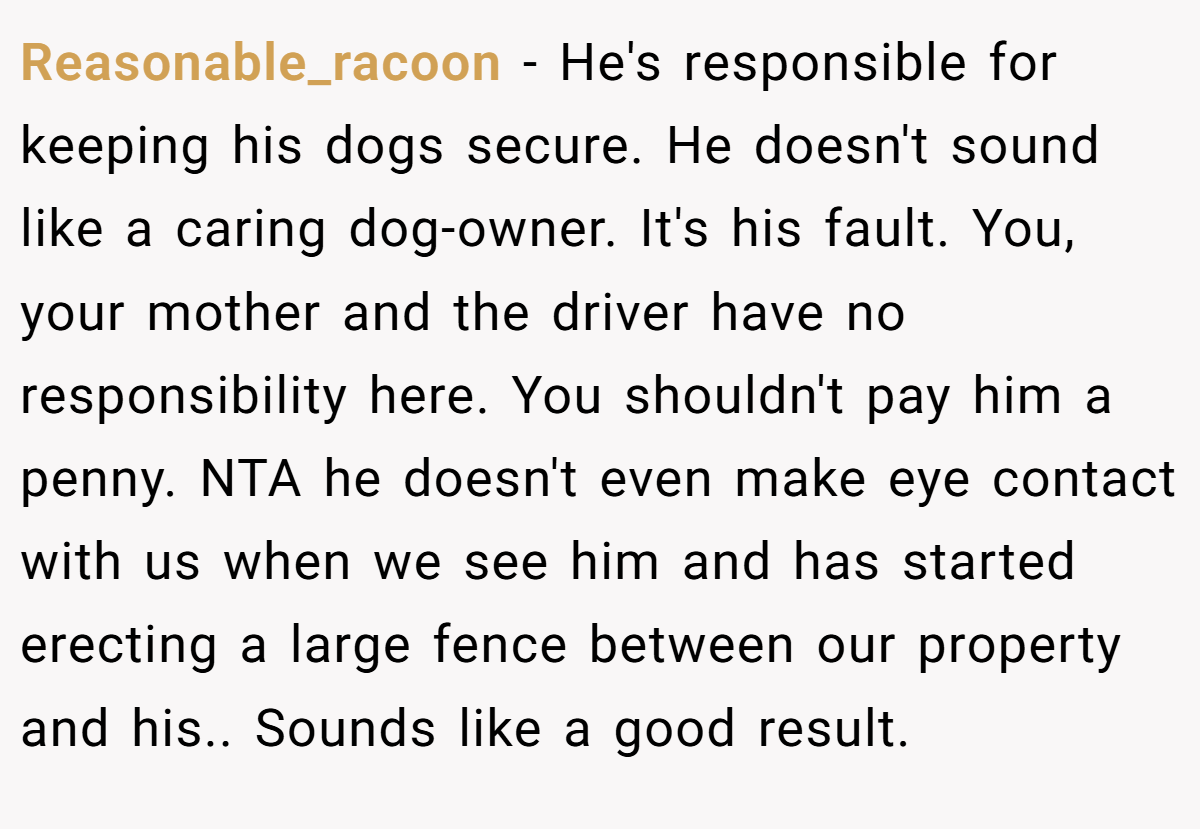 Reasonable_racoon - He's responsible for keeping his dogs secure. He doesn't sound like a caring dog-owner. It's his fault. You, your mother and the driver have no responsibility here. You shouldn't pay him a penny. NTA he doesn't even make eye contact with us when we see him and has started erecting a large fence between our property and his.. Sounds like a good result.