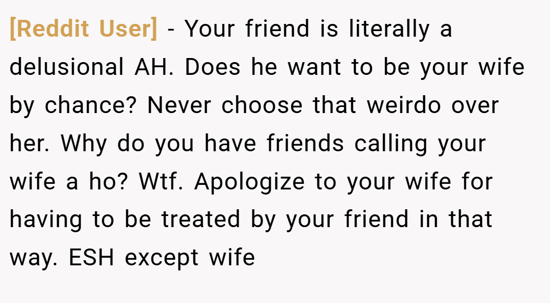[Reddit User] − Your friend is literally a delusional AH. Does he want to be your wife by chance? Never choose that weirdo over her. Why do you have friends calling your wife a ho? Wtf. Apologize to your wife for having to be treated by your friend in that way. ESH except wife