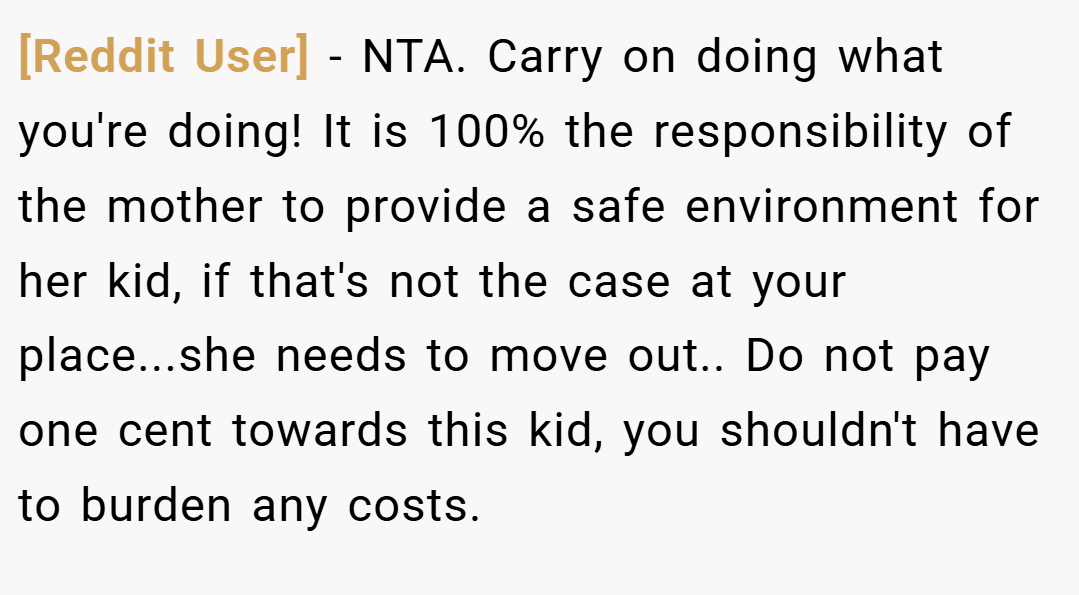 [Reddit User] − NTA. Carry on doing what you're doing! It is 100% the responsibility of the mother to provide a safe environment for her kid, if that's not the case at your place...she needs to move out.. Do not pay one cent towards this kid, you shouldn't have to burden any costs.