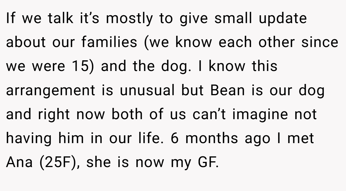 If we talk it’s mostly to give small update about our families (we know each other since we were 15) and the dog. I know this arrangement is unusual but Bean is our dog and right now both of us can’t imagine not having him in our life. 6 months ago I met Ana (25F), she is now my GF.