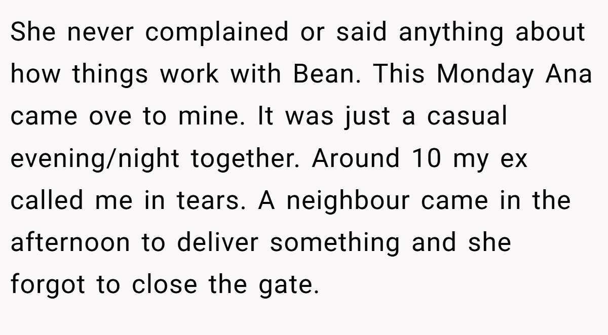 She never complained or said anything about how things work with Bean. This Monday Ana came ove to mine. It was just a casual evening/night together. Around 10 my ex called me in tears. A neighbour came in the afternoon to deliver something and she forgot to close the gate.