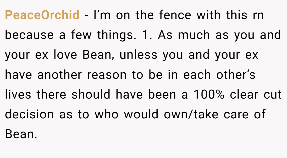 PeaceOrchid − I’m on the fence with this rn because a few things. 1. As much as you and your ex love Bean, unless you and your ex have another reason to be in each other’s lives there should have been a 100% clear cut decision as to who would own/take care of Bean.