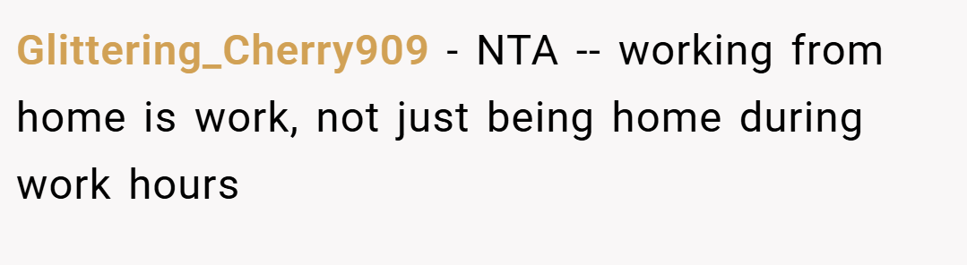 Glittering_Cherry909 − NTA -- working from home is work, not just being home during work hours
