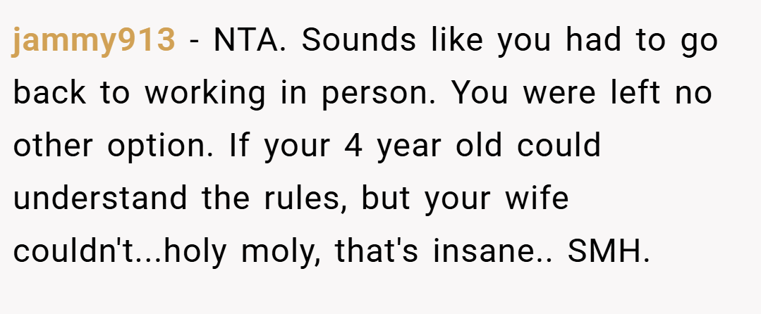 jammy913 − NTA. Sounds like you had to go back to working in person. You were left no other option. If your 4 year old could understand the rules, but your wife couldn't...holy moly, that's insane.. SMH.