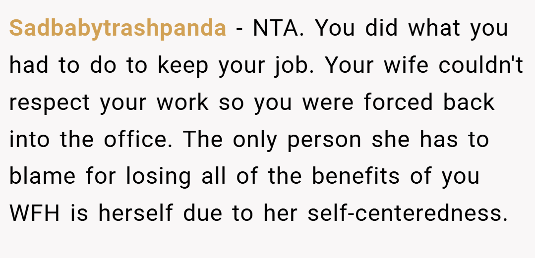 Sadbabytrashpanda − NTA. You did what you had to do to keep your job. Your wife couldn't respect your work so you were forced back into the office. The only person she has to blame for losing all of the benefits of you WFH is herself due to her self-centeredness.