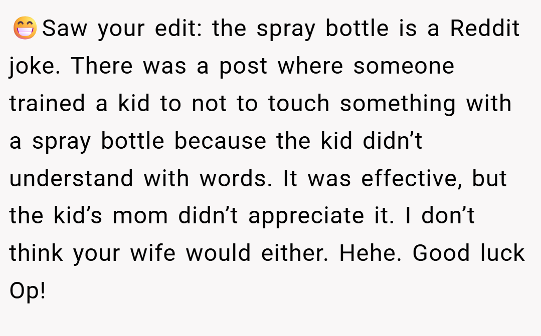 😁Saw your edit: the spray bottle is a Reddit joke. There was a post where someone trained a kid to not to touch something with a spray bottle because the kid didn’t understand with words. It was effective, but the kid’s mom didn’t appreciate it. I don’t think your wife would either. Hehe. Good luck Op!