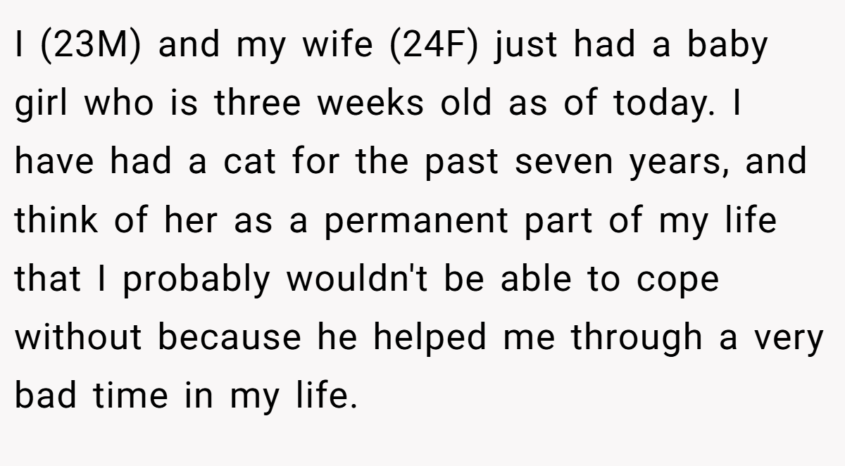 I (23M) and my wife (24F) just had a baby girl who is three weeks old as of today. I have had a cat for the past seven years, and think of her as a permanent part of my life that I probably wouldn't be able to cope without because he helped me through a very bad time in my life.