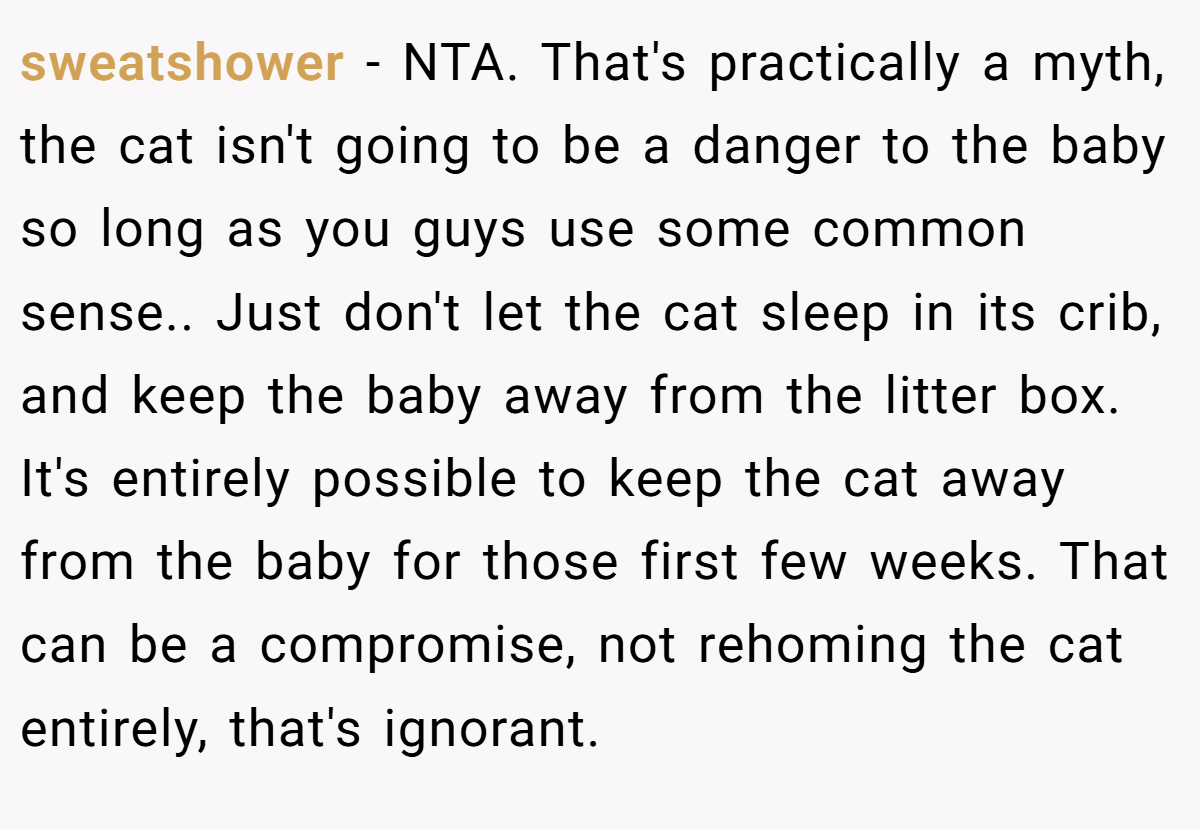sweatshower − NTA. That's practically a myth, the cat isn't going to be a danger to the baby so long as you guys use some common sense.. Just don't let the cat sleep in its crib, and keep the baby away from the litter box. It's entirely possible to keep the cat away from the baby for those first few weeks. That can be a compromise, not rehoming the cat entirely, that's ignorant.