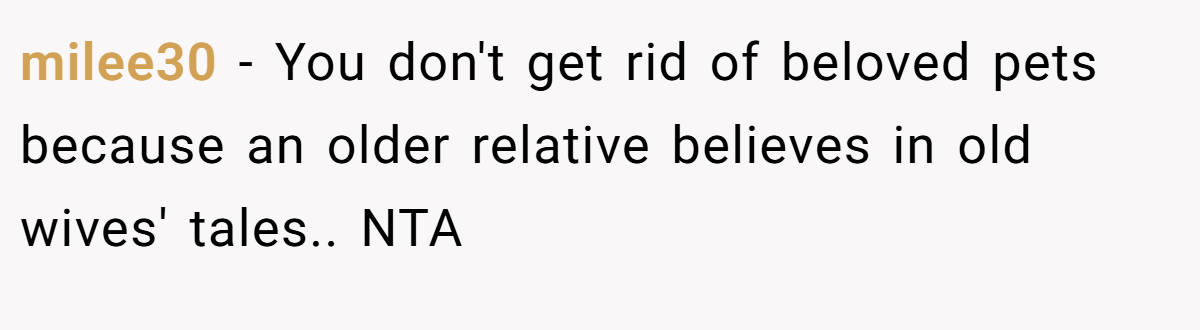 milee30 − You don't get rid of beloved pets because an older relative believes in old wives' tales.. NTA