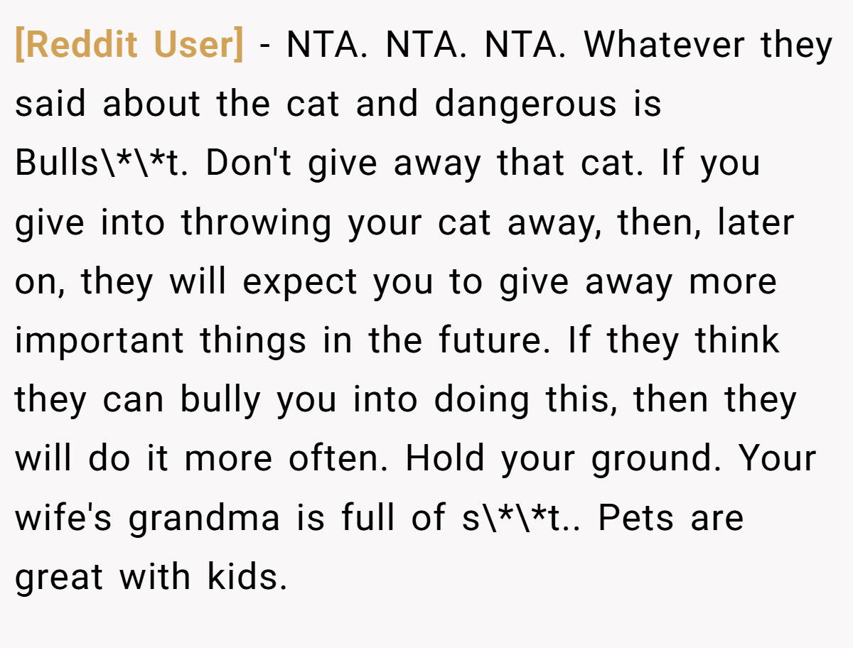[Reddit User] − NTA. NTA. NTA. Whatever they said about the cat and dangerous is Bulls\*\*t. Don't give away that cat. If you give into throwing your cat away, then, later on, they will expect you to give away more important things in the future. If they think they can bully you into doing this, then they will do it more often. Hold your ground. Your wife's grandma is full of s\*\*t.. Pets are great with kids.