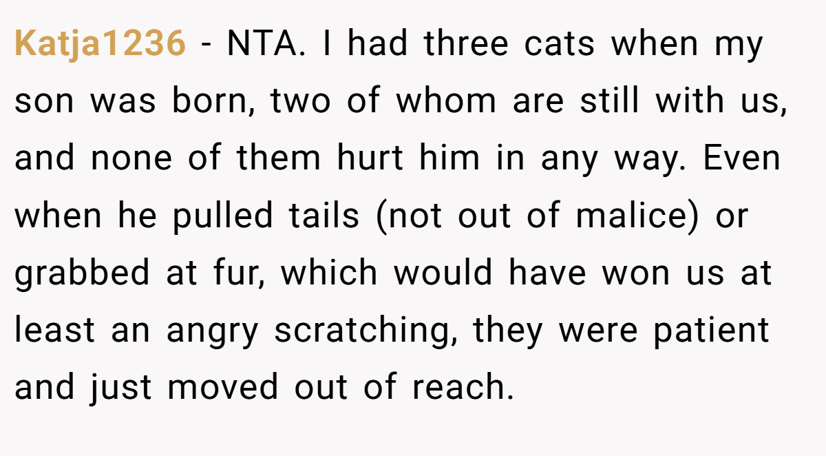 Katja1236 − NTA. I had three cats when my son was born, two of whom are still with us, and none of them hurt him in any way. Even when he pulled tails (not out of malice) or grabbed at fur, which would have won us at least an angry scratching, they were patient and just moved out of reach.