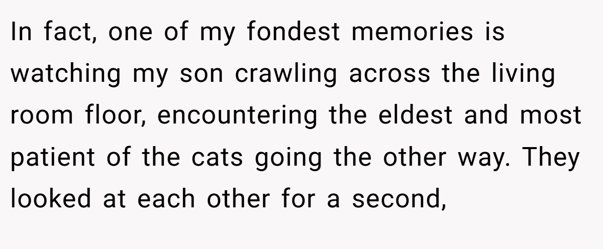 In fact, one of my fondest memories is watching my son crawling across the living room floor, encountering the eldest and most patient of the cats going the other way. They looked at each other for a second,