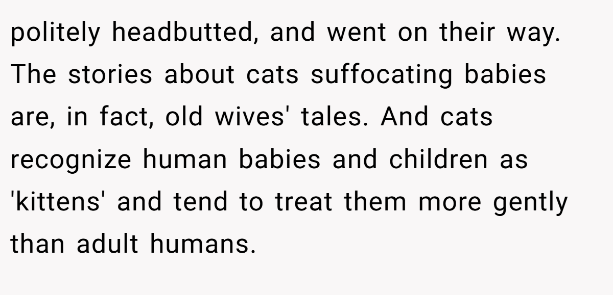politely headbutted, and went on their way. The stories about cats suffocating babies are, in fact, old wives' tales. And cats recognize human babies and children as 'kittens' and tend to treat them more gently than adult humans.