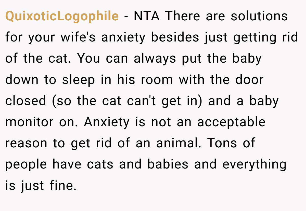 QuixoticLogophile − NTA There are solutions for your wife's anxiety besides just getting rid of the cat. You can always put the baby down to sleep in his room with the door closed (so the cat can't get in) and a baby monitor on. Anxiety is not an acceptable reason to get rid of an animal. Tons of people have cats and babies and everything is just fine.