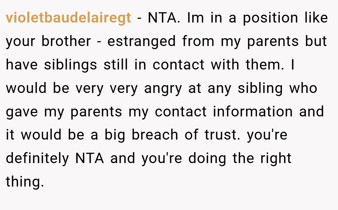violetbaudelairegt − NTA. Im in a position like your brother - estranged from my parents but have siblings still in contact with them. I would be very very angry at any sibling who gave my parents my contact information and it would be a big breach of trust. you're definitely NTA and you're doing the right thing.