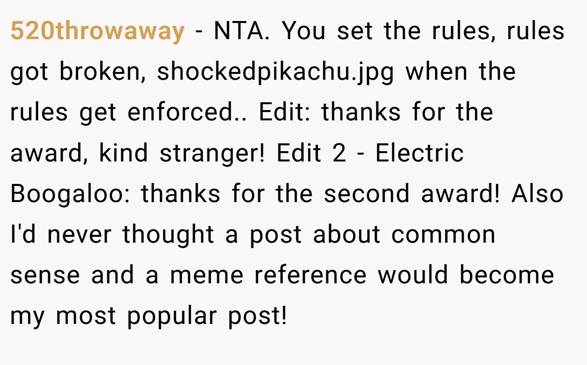 520throwaway − NTA. You set the rules, rules got broken, shockedpikachu.jpg when the rules get enforced.. Edit: thanks for the award, kind stranger! Edit 2 - Electric Boogaloo: thanks for the second award! Also I'd never thought a post about common sense and a meme reference would become my most popular post!