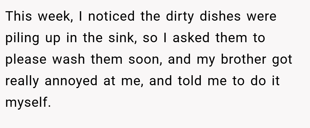 This week, I noticed the dirty dishes were piling up in the sink, so I asked them to please wash them soon, and my brother got really annoyed at me, and told me to do it myself.