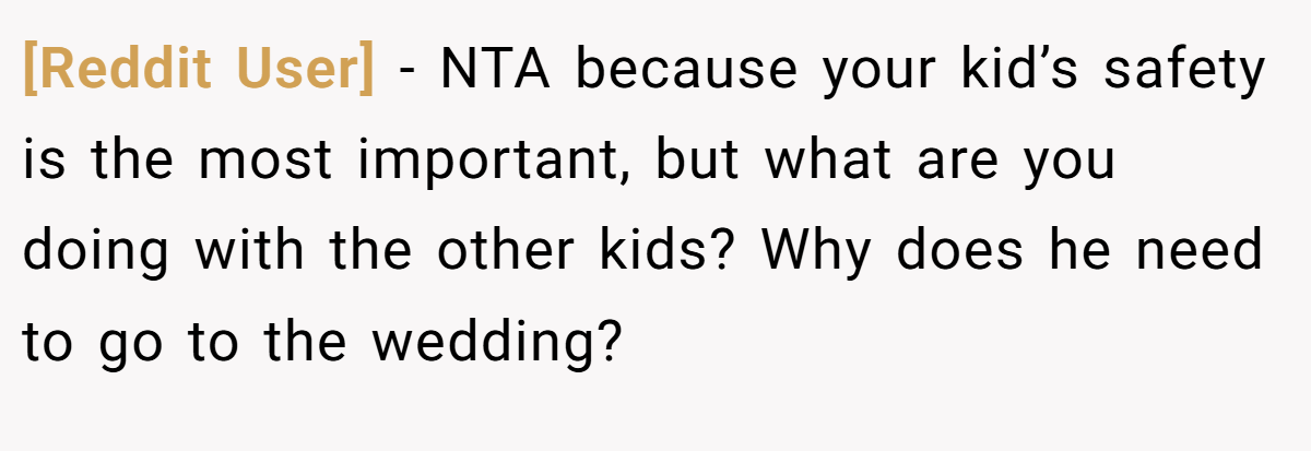 [Reddit User] − NTA because your kid’s safety is the most important, but what are you doing with the other kids? Why does he need to go to the wedding?
