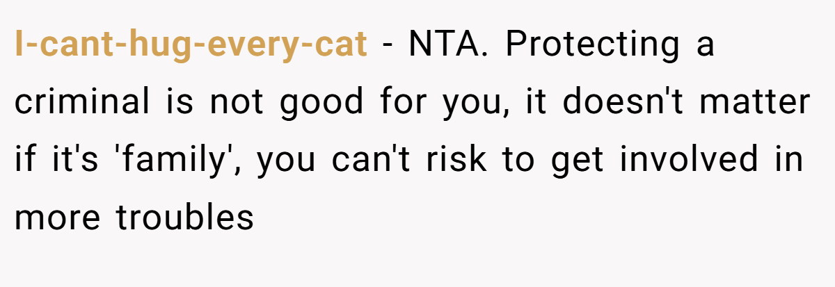 I-cant-hug-every-cat − NTA. Protecting a criminal is not good for you, it doesn't matter if it's 'family', you can't risk to get involved in more troubles