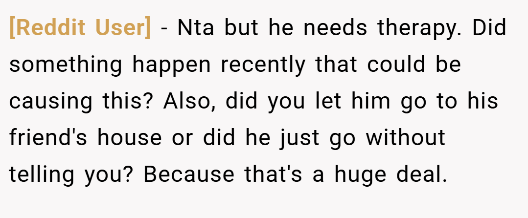 [Reddit User] − Nta but he needs therapy. Did something happen recently that could be causing this? Also, did you let him go to his friend's house or did he just go without telling you? Because that's a huge deal.