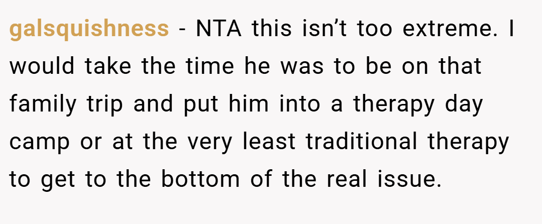 galsquishness − NTA this isn’t too extreme. I would take the time he was to be on that family trip and put him into a therapy day camp or at the very least traditional therapy to get to the bottom of the real issue.