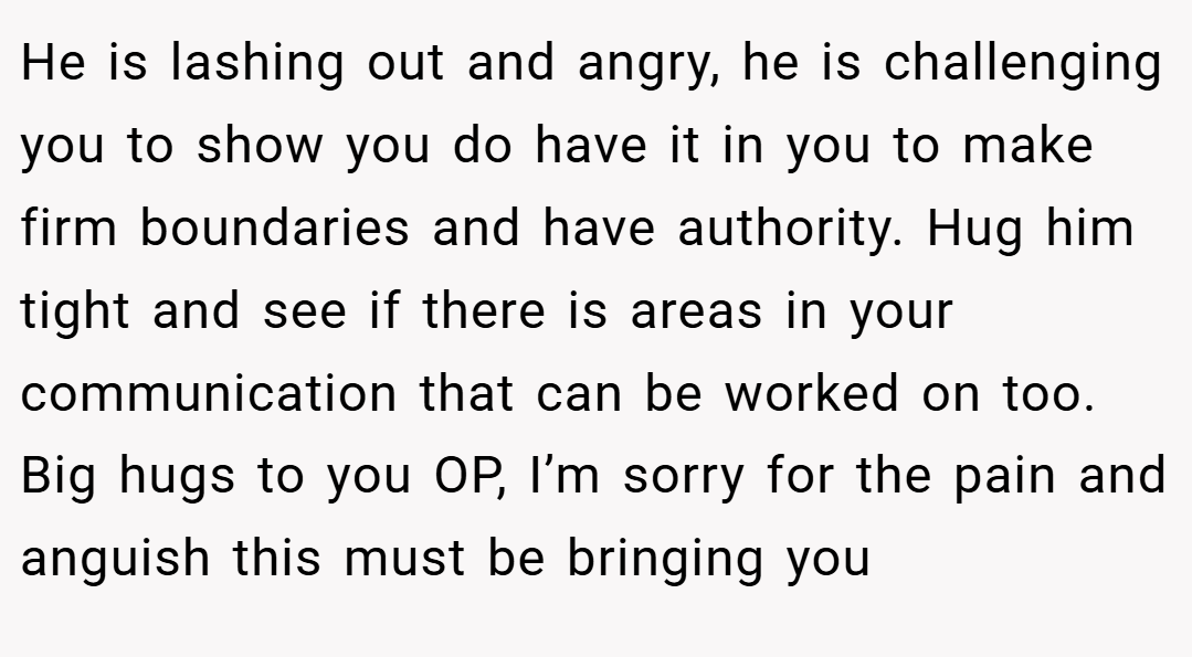 He is lashing out and angry, he is challenging you to show you do have it in you to make firm boundaries and have authority. Hug him tight and see if there is areas in your communication that can be worked on too. Big hugs to you OP, I’m sorry for the pain and anguish this must be bringing you