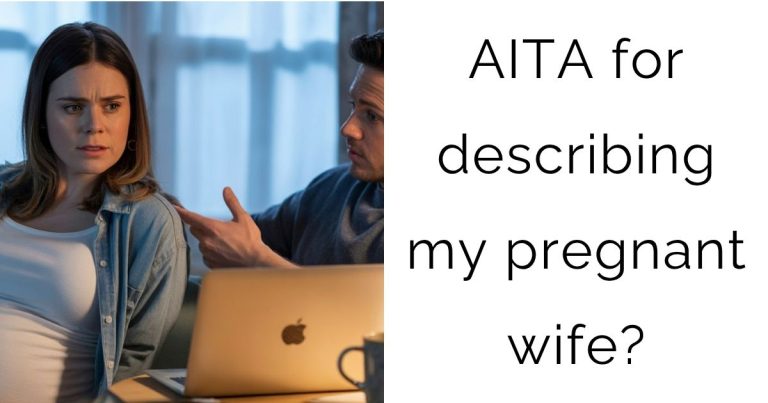 AITA for describing my pregnant wife?