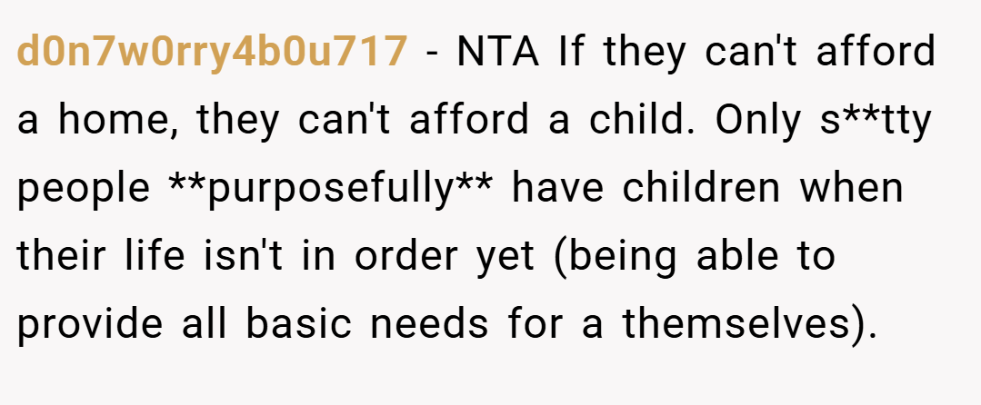d0n7w0rry4b0u717 − NTA If they can't afford a home, they can't afford a child. Only s**tty people **purposefully** have children when their life isn't in order yet (being able to provide all basic needs for a themselves).