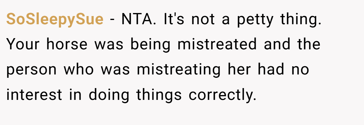 SoSleepySue − NTA. It's not a petty thing. Your horse was being mistreated and the person who was mistreating her had no interest in doing things correctly.
