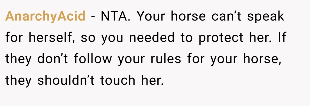 AnarchyAcid − NTA. Your horse can’t speak for herself, so you needed to protect her. If they don’t follow your rules for your horse, they shouldn’t touch her.