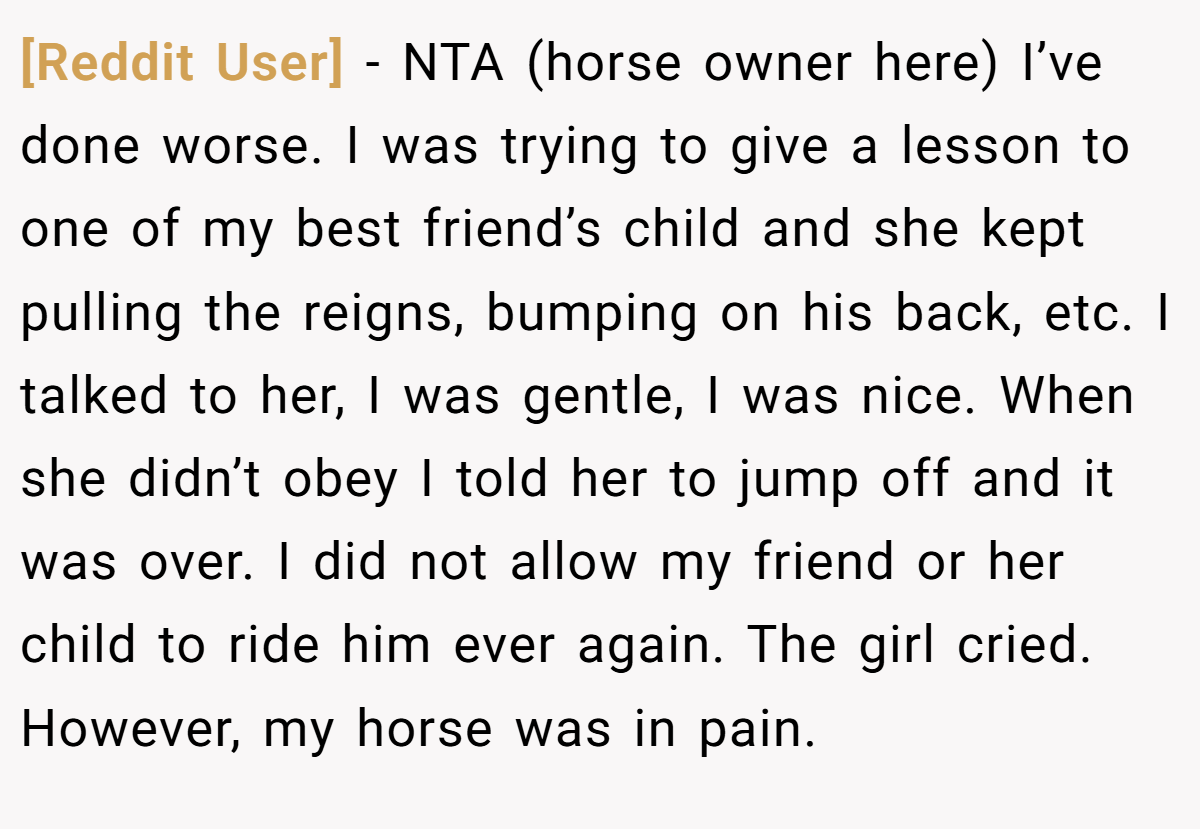 [Reddit User] − NTA (horse owner here) I’ve done worse. I was trying to give a lesson to one of my best friend’s child and she kept pulling the reigns, bumping on his back, etc. I talked to her, I was gentle, I was nice. When she didn’t obey I told her to jump off and it was over. I did not allow my friend or her child to ride him ever again. The girl cried. However, my horse was in pain.