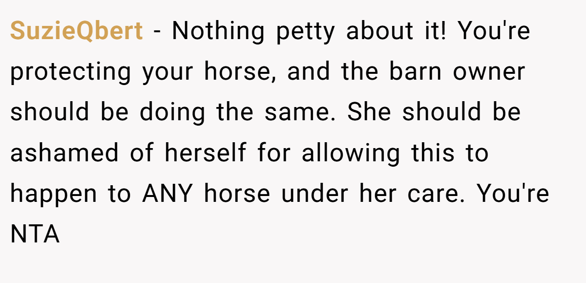 SuzieQbert − Nothing petty about it! You're protecting your horse, and the barn owner should be doing the same. She should be ashamed of herself for allowing this to happen to ANY horse under her care. You're NTA