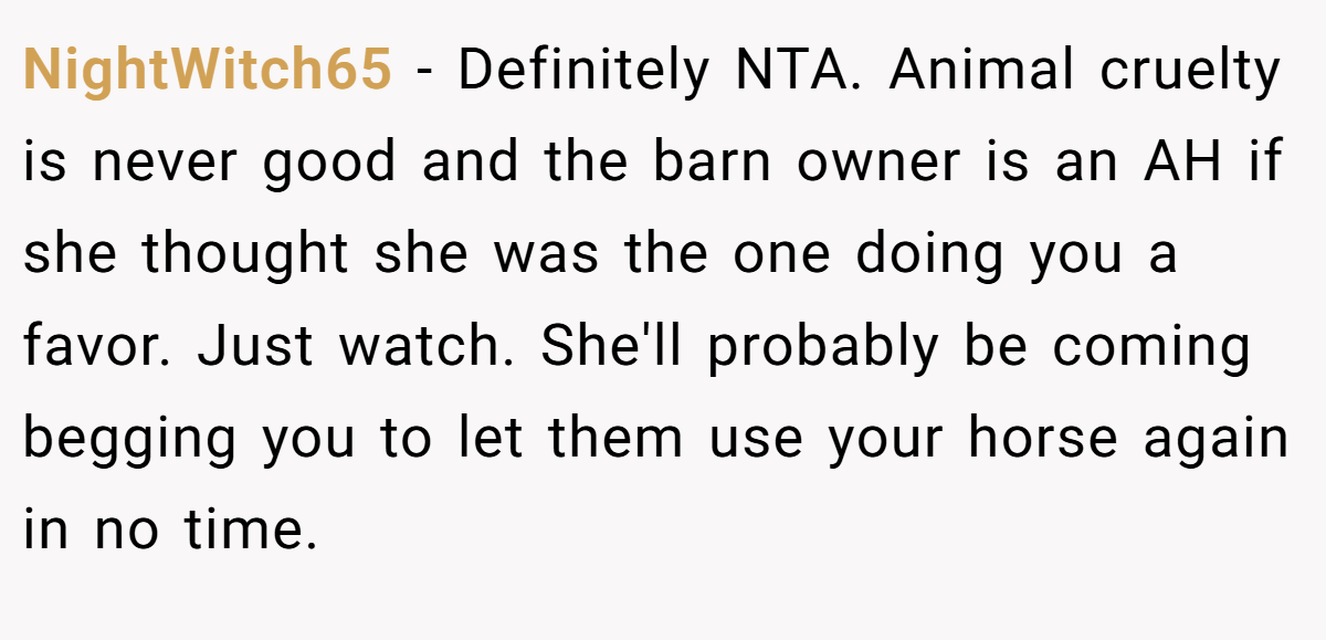 NightWitch65 − Definitely NTA. Animal cruelty is never good and the barn owner is an AH if she thought she was the one doing you a favor. Just watch. She'll probably be coming begging you to let them use your horse again in no time.