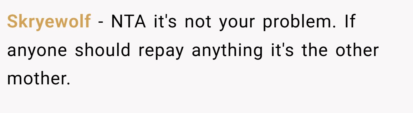 Skryewolf - NTA it's not your problem. If anyone should repay anything it's the other mother.