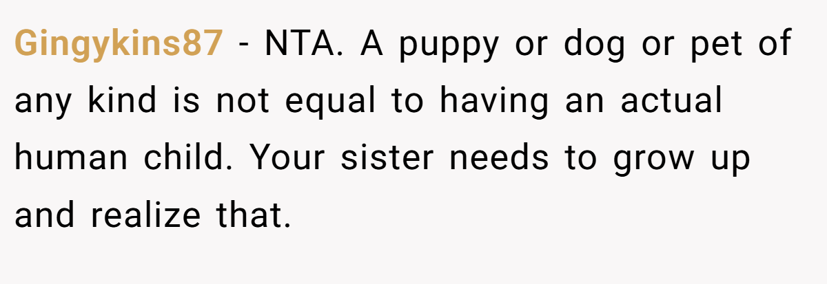 Gingykins87 − NTA. A puppy or dog or pet of any kind is not equal to having an actual human child. Your sister needs to grow up and realize that.