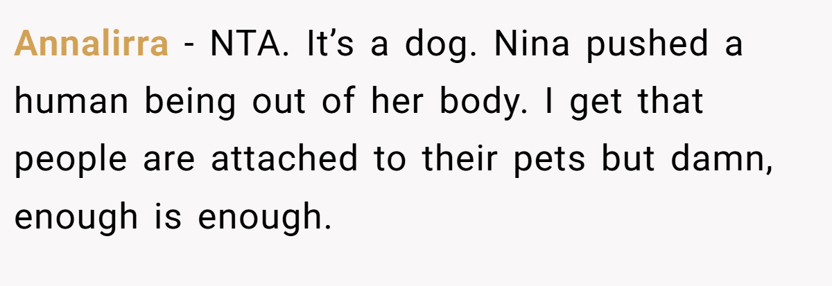 Annalirra − NTA. It’s a dog. Nina pushed a human being out of her body. I get that people are attached to their pets but damn, enough is enough.