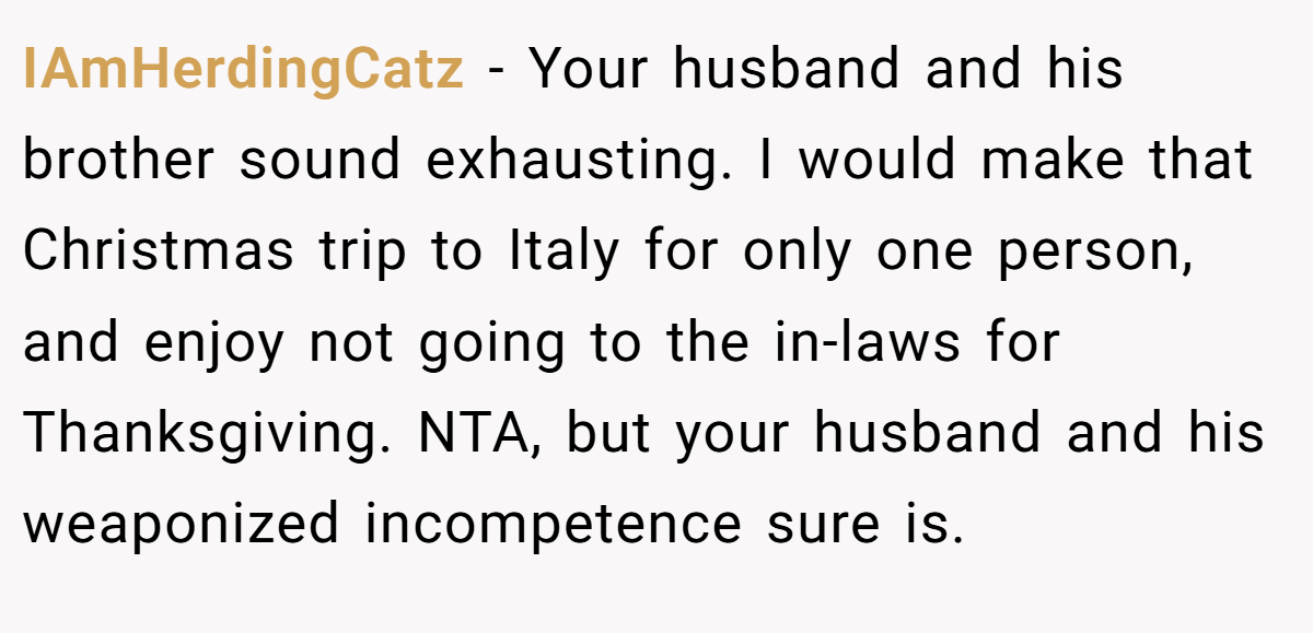 IAmHerdingCatz − Your husband and his brother sound exhausting. I would make that Christmas trip to Italy for only one person, and enjoy not going to the in-laws for Thanksgiving. NTA, but your husband and his weaponized incompetence sure is.