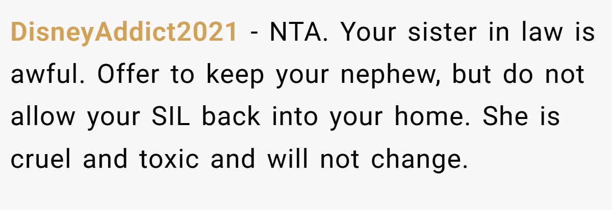 DisneyAddict2021 − NTA. Your sister in law is awful. Offer to keep your nephew, but do not allow your SIL back into your home. She is cruel and toxic and will not change.