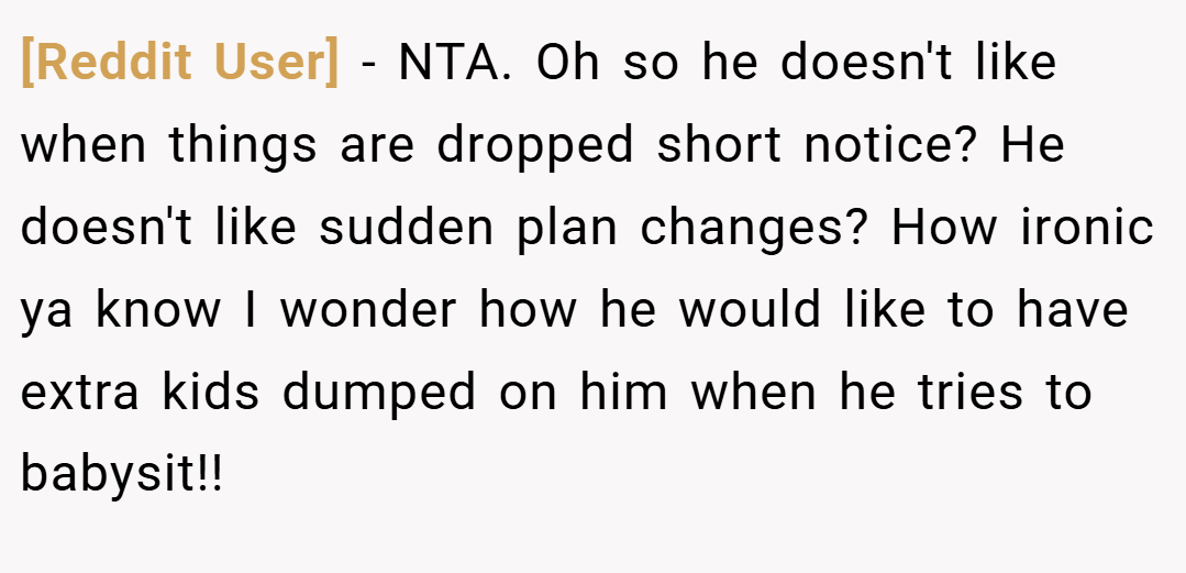 [Reddit User] − NTA. Oh so he doesn't like when things are dropped short notice? He doesn't like sudden plan changes? How ironic ya know I wonder how he would like to have extra kids dumped on him when he tries to babysit!!