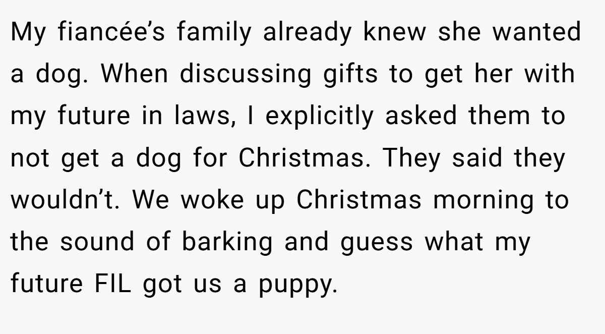 My fiancée’s family already knew she wanted a dog. When discussing gifts to get her with my future in laws, I explicitly asked them to not get a dog for Christmas. They said they wouldn’t. We woke up Christmas morning to the sound of barking and guess what my future FIL got us a puppy.