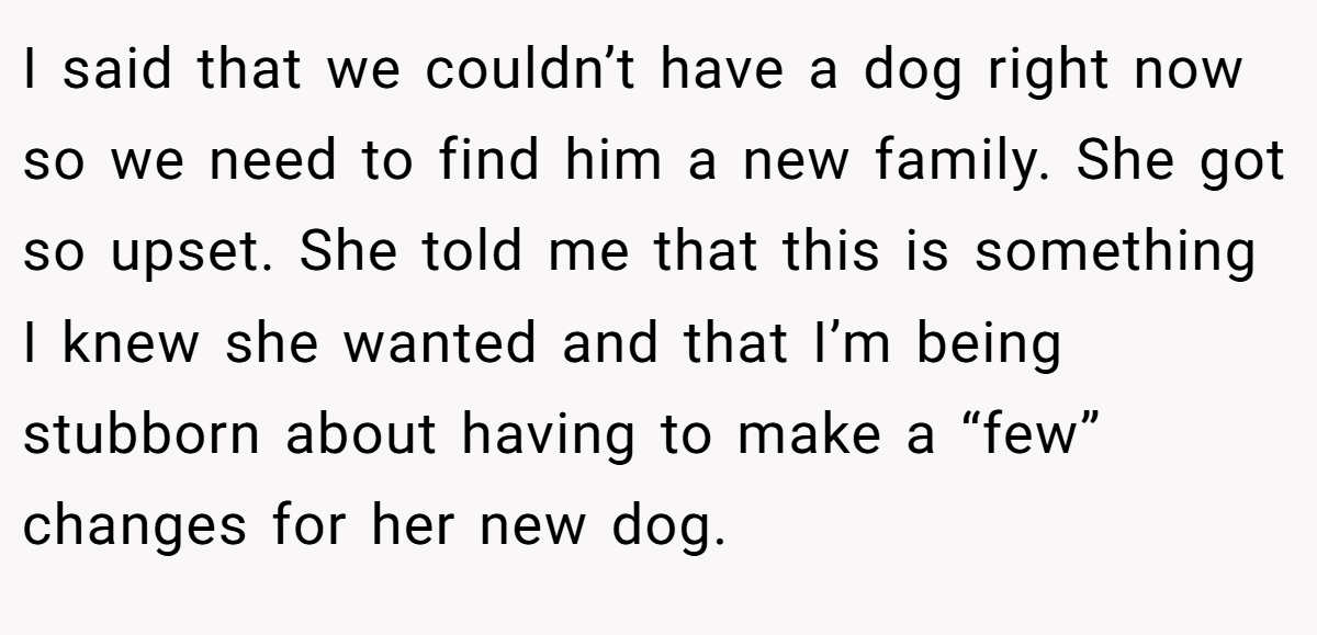 I said that we couldn’t have a dog right now so we need to find him a new family. She got so upset. She told me that this is something I knew she wanted and that I’m being stubborn about having to make a “few” changes for her new dog.