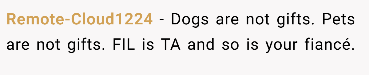 Remote-Cloud1224 − Dogs are not gifts. Pets are not gifts. FIL is TA and so is your fiancé.